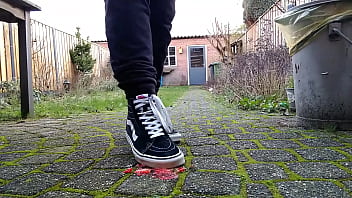 Vans squaches strawberries