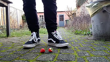 Vans squaches strawberries