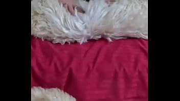 Fur rugs for my skin they are so hot #amateur #milf #homemade #stepmom #latina #big boobs #big ass #fetish model