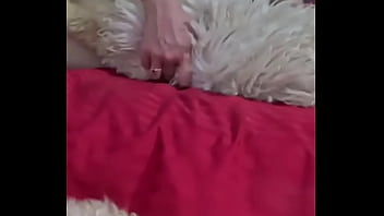 Fur rugs for my skin they are so hot #amateur #milf #homemade #stepmom #latina #big boobs #big ass #fetish model