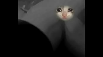 De reynosa De reynosa