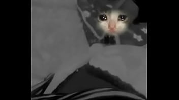 De Reynosa thumbnail