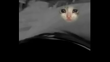 De Reynosa thumbnail