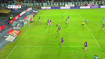 Goal of stefan pino