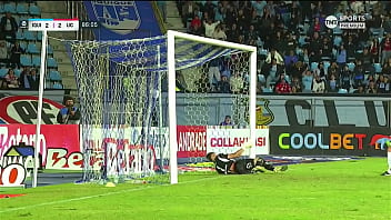 Goal of stefan pino