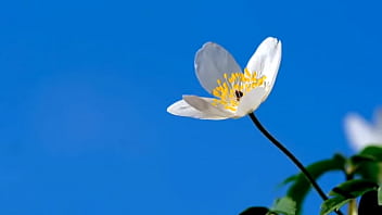 Andando sobre as ruas de nirvana