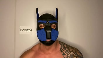 Vídeo de verificação