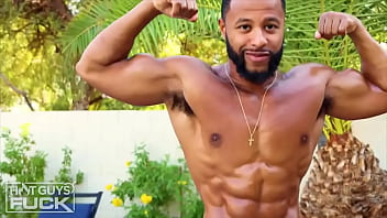 Friday's update h astonished that we managed to get these two to pause their constant lovemaking long enough to