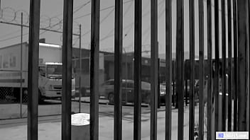 The case of the snitch's snatch