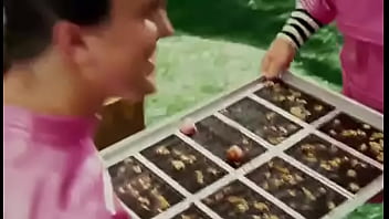 El triturador de nueces