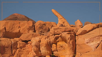 Stimubate your senses