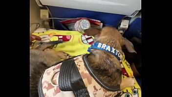 Miami lavegas phoenixjacksonville fl up next ️