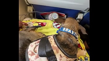 Miami lavegas phoenixjacksonville fl up next ️