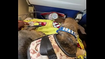 Miami lavegas phoenixjacksonville fl up next ️