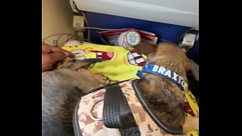 Miami lavegas phoenixjacksonville fl up next ️