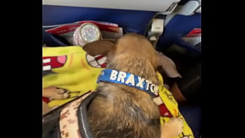 Miami lavegas phoenixjacksonville fl up next ️