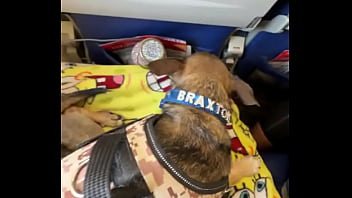 Miami lavegas phoenixjacksonville fl up next ️