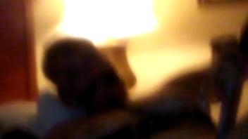 Sam With A Cucumber thumbnail