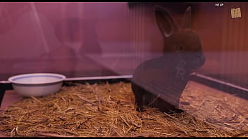 Being a dik 194 chick route