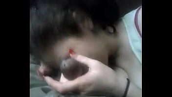 Getting sucked by shy Getting sucked by shy