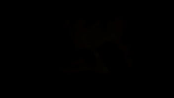 A sala mais quente do brasil e portugal