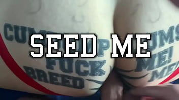 Taggedslut uk breeding pig horny year