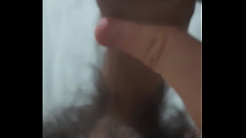 Vem fazer carinho no pinto