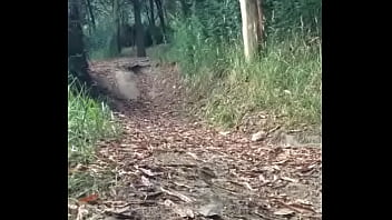 Mi paseo por le bosque parte primera