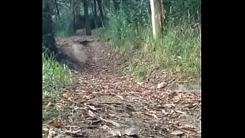 Mi paseo por le bosque parte primera