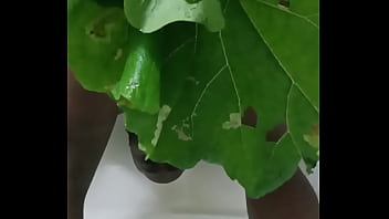 Similar to the human flower arse vase the human green leaf arse vase 6