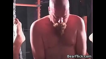 Hair Gay Bear In A Hardcore Bdsm Fuck Gay Sex thumbnail