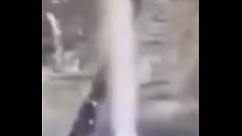 Ganzo insano explota con agua