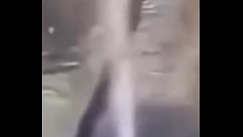 Ganzo insano explota con agua