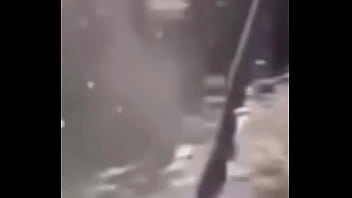 Ganzo insano explota con agua