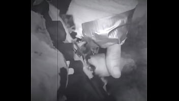 Daddy loves becky’s big ass