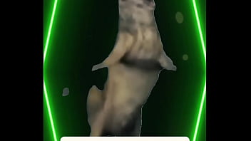 Every step is grace every word is calm every glance—pure reassurance