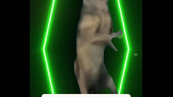 Every step is grace every word is calm every glance—pure reassurance