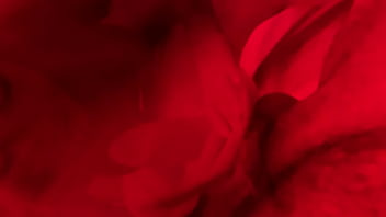 Monika fox sloppy blowjob & fisting in red room