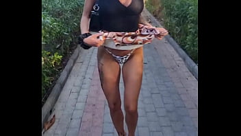 Mes vacances au canaris sont très calientéviens regarder tous les épisodes