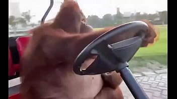 Fodendo Com Puta Dentro Do Saveiro thumbnail