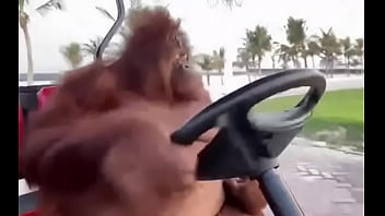 Fodendo Com Puta Dentro Do Saveiro thumbnail