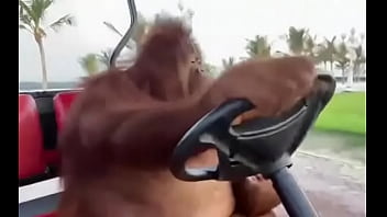 Fodendo com puta dentro do saveiro