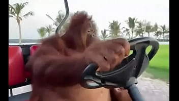 Fodendo com puta dentro do saveiro