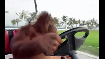 Fodendo Com Puta Dentro Do Saveiro thumbnail