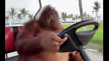 Fodendo Com Puta Dentro Do Saveiro thumbnail