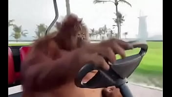 Fodendo Com Puta Dentro Do Saveiro thumbnail