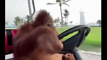 Fodendo Com Puta Dentro Do Saveiro thumbnail