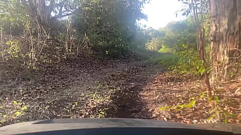 Sentiment de plénitude