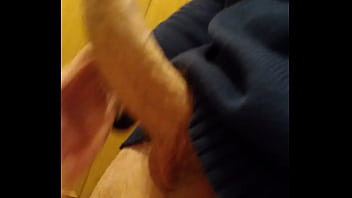 Moviendo polla libremente