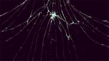 Curvy blonde milf bounces her phat ass on thick white cock